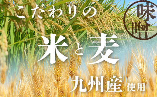 B-247 ãïŒïŒã»ããéå®ã å°å
麹å±ããæäœãã®å³åã»ããïŒïŒïŒïŒïœÃïŒã»ããïŒ