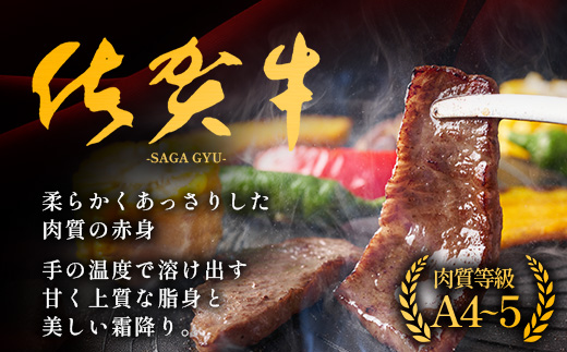 佐賀牛小肉500g（カルビ、ロース）B-840