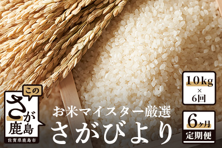 J-3 《6ヶ月定期便》鹿島市産さがびより　白米（毎月１０ｋｇ×６回）