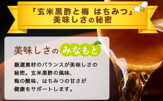 玄米黒酢と梅はちみつ 125ml×24本 6回 定期便 清涼飲料水 飲みやすい サンレイ 紙パック 飲料 飲み物 さわやか サッパリ 健康 美容 抗酸化作用 リピーター 美味しい ストック 定期 常備 人気 送料無料 佐賀県 鹿島市 H-57