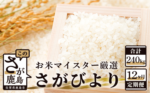 V-11 《12ヶ月定期便》鹿島市産さがびより　白米（毎月２０ｋｇ×１２回）