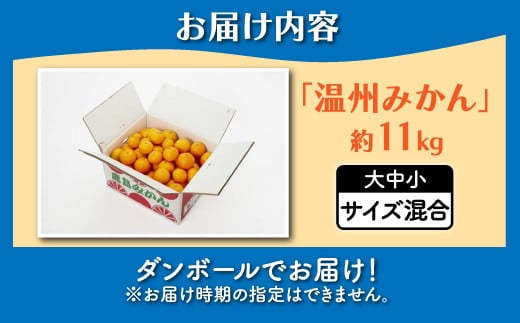 ã¿ãã çŽ11kg äœè³çé¹¿å³¶ç£ æž©å·ã¿ãã ãµã€ãºæ··å | ãå
è¡åä»11æäžæ¬ããçºéäºå®ãã¿ãã ãã«ã³ çã å°çå«ã ãã«ãŒã æç© æå® ãã ãã® èæ ææ© åœç£ å¬å£ 倧容é å®¶åºçš èŽç ãåãå¯ã äœè³ç é¹¿å³¶åž B-99