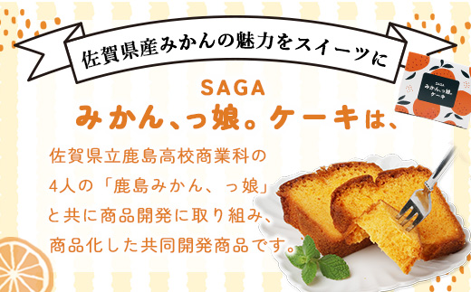 SAGAみかん、っ娘。ケーキ 3箱（合計12個入り）B-859 スイーツ ケーキ 焼き菓子 焼菓子 みかん ミカン 蜜柑 みかんケーキ ミカンケーキ お土産 ご当地スイーツ プレゼント ギフト おみやげ