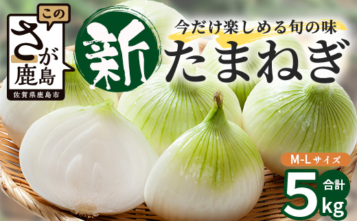 甘～い！新たまねぎ 約5kg (MLサイズ）生産者直送！★大自然育ち【2026年4月より順次発送】タマネギ 玉葱 新タマ 新玉ねぎ サラダ 惣菜 お料理 ストック 箱買 美味しい 甘い 常備野菜 佐賀県 鹿島市産 人気 送料無料 A-180