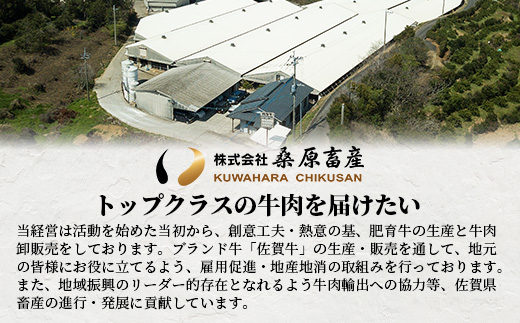 【最短2週間以内発送】大人気の佐賀牛 A5 しゃぶしゃぶ すき焼き & 焼肉セット(各400g) 合計800g 牛肉 セット バラエティ D-206