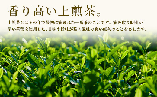 【徳用】佐賀県産 うれしの茶 350g×2袋（合計700g） リーフ 茶葉 B-799