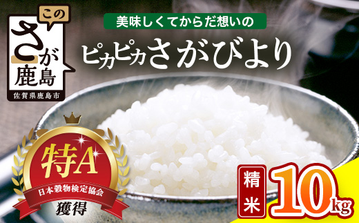 令和7年産 佐賀県産 さがびより 10kg 白米《からだ想いのピカピカさがびより》ふるさと納税 米 お米 新米 精米 国産 佐賀県 鹿島市 ふるさと 人気 送料無料 D-284