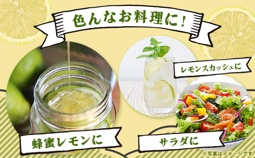 【産地直送】【農家直送】【予約受付】【数量限定】佐賀県鹿島市産 マイヤーレモン 5kg サイズ混合【9月中旬頃より配送】B-726