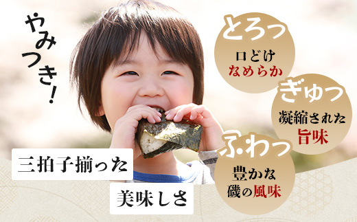  E-191【初摘み海苔100%】佐賀のり 紫香燦燦 全形 焼のり 32枚（4枚×8袋）| 水産庁長官賞受賞 海苔 焼きのり 厳選 特上 有明 全形 佐賀 ノリ 焼海苔 一番詰み 贈答 包装 熨斗対応 高級 佐賀県 鹿島市