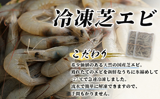 冷凍芝エビ（真エビ）1kg（500g×2パック）＆有明海産 シタビラメ約150g×2尾【有明海の恵】簡単調理 セット B-569