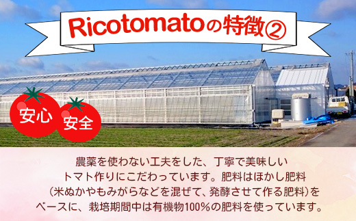 ãå
è¡äºçŽãã2025幎12æäžæ¬ããåºè·ããã«ãã¡ãã¡ãŒã å®çããããã çŽ1kg ãRicotomato ãšããã«ãªããããã B-324