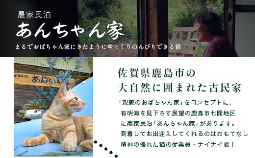 農家民泊 あんちゃん家 ペア宿泊券【1日1組限定/1泊2食】【夕食プレミアムしゃぶしゃぶ+羽釜ご飯】or【夕食グレードアップBBQ/佐賀牛or猪肉で選べる+羽釜ご飯】　佐賀県 鹿島市 民泊 旅行 宿泊 観光 高級 夕食 朝食 一泊二日 農家民泊 大自然　N-28