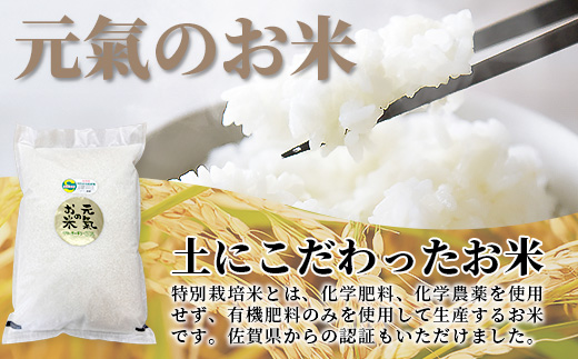 縲蝉サ、蜥7蟷エ逕」 縺顔アウ10kg(5kgテ2)|繝偵ヮ繝偵き繝ェ 逋ス邀ウ縲代千函逕」閠逶エ騾√大ケク縺帙→隨鷹。斐r螻翫¢繧句豌」縺ョ縺顔アウス應ス占ウ逵檎音蛻・譬ス蝓ケ霎イ逕」迚ゥス懷喧蟄ヲ霎イ阮ャ繝サ蛹門ュヲ閧・譁吩ク堺スソ逕ィス懈眠邀ウ 邊セ邀ウ 譛画ゥ溯ぇ譁 菴占ウ逵 鮖ソ蟲カ蟶 D-219