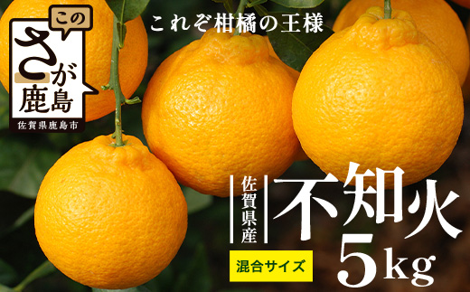 B-895佐賀県産不知火 約5kg（箱込み）佐賀県 鹿島市