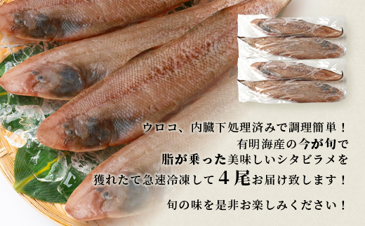 【下処理済で簡単調理】有明海産 シタビラメ約150g×4尾【合計約600g】煮つけ・唐揚げにおススメ【脂ののって美味しい】鮮度抜群 B-568