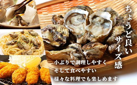 æææµ·ç£ 逿®ç¡è £3kgïœæ®»ä»ãçç¡è £ïœå ç±èª¿ççšïœæ°é®® äœè³çç£ ã«ããã¬ã³ãžã§ç°¡å調çããæ£æ å€é£ ãã€ãŸã¿ ããã äœè³ç é¹¿å³¶åž äººæ° å¬å£éå® B-567