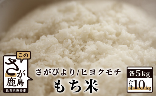 B-463 佐賀県産さがびより・ヒヨクモチ（もち米）白米１０kg（５kg×2種）