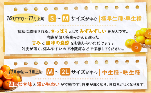 かねひろの黒酢みかん【5kg S～2L サイズ別】先行予約《11月下旬～1月上旬頃発送予定》温州みかん ふるさと納税 みかん 5kg 少量 大容量 フルーツ 甘い ジューシー 果物 蜜柑 お取り寄せ 農家直送 国産 九州 佐賀県 鹿島市 送料無料 A-230