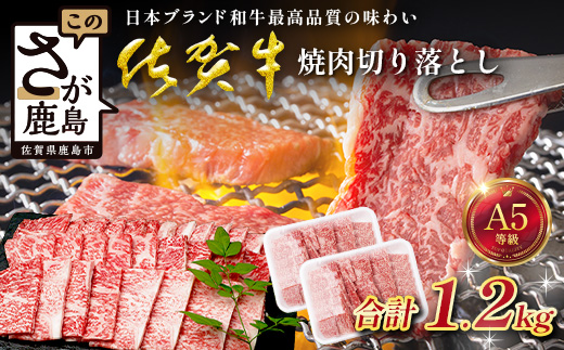 【訳あり】佐賀牛 焼肉 切り落とし 1200g 牛肉 ブランド牛 切り落とし肉 焼き肉 やきにく E-184