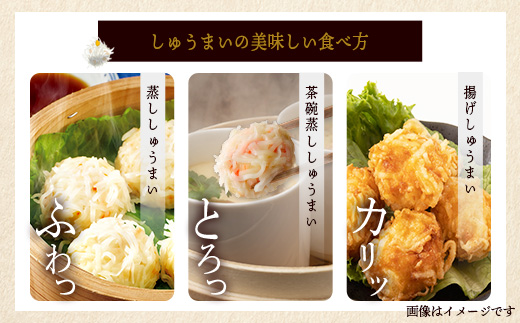 逸品｜いかしゅうまい10個入×2P｜贅沢ないかの旨みたっぷり！｜本格シュウマイ｜冷凍配送・簡単調理｜佐賀県鹿島市｜送料無料　A-195