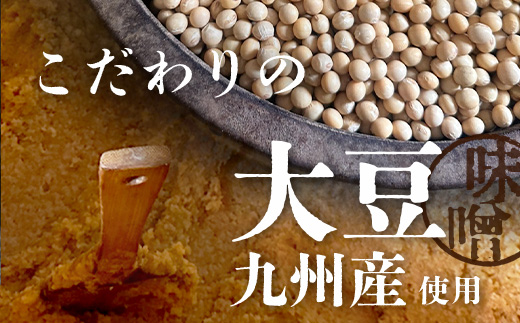 B-247 ãïŒïŒã»ããéå®ã å°å
麹å±ããæäœãã®å³åã»ããïŒïŒïŒïŒïœÃïŒã»ããïŒ