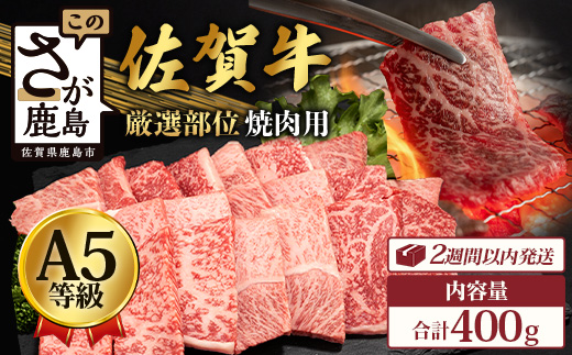 A5等級 佐賀牛 焼肉用 400g【厳選部位】ロース モモ ウデ バラ B-616