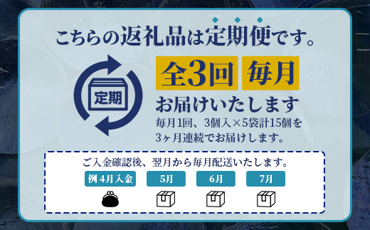 定期便【3回定期】さがん氷 丸氷 3個×5袋×3回（合計45個）E-177 藤津製氷 こおり 氷 ロック アイス 佐賀 鹿島 九州