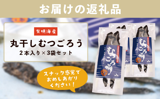 A-29  丸干しむつごろう 2本入り×3袋 むつごろう ムツゴロウ おやつ おつまみ 温め不要 調理不要 有明海産 佐賀県 鹿島市 送料無料 