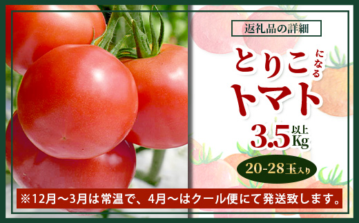 【先行予約】 たにぐちファーム とりこになるトマト 3.5kg以上【2024年12月より発送開始】 Ricotomato トマト B-665