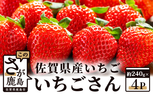 【予約受付】 佐賀県産いちご 「いちごさん」 約240ｇ×4パック B-465