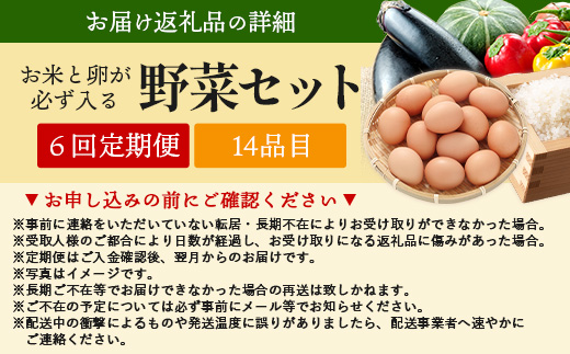 野菜定期便 6回 米 たまごも届く 約14品【6ヶ月お届け】肥前の国の農産物 大満足 定期便 佐賀県 鹿島市 H-10
