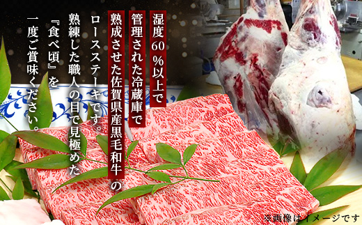 E-49 ãçæèãäœè³çç£é»æ¯åç çè©ããŒã¹ çŒèçš 500ïœ