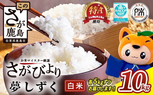 令和7年産 佐賀県産 さがびより 夢しずく 白米 合計10kg (5kg×2種) お米マイスター厳選 ふるさと納税 佐賀県 鹿島市 B-119
