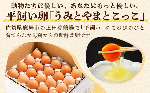D-117【定期便】佐賀鹿島産 平飼い初卵「うみとやまとこっこ」 上田養鶏場 たまご60個×3回