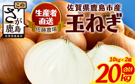 C-205 ＼生産者直送／佐藤農場が育てた鹿島市産玉ねぎ 10kg×2箱（20kg）｜鹿島市産 玉ねぎ 佐藤農場 産地直送 新鮮 野菜 大容量
