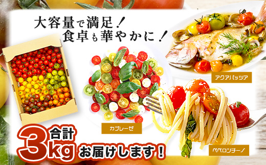  岩永さんちのカラフルミニトマト 約1kg（5色）【農林水産大臣賞受賞】有機肥料・化学肥料不使用｜生産者直送 野菜 とまと サラダ おやつ お弁当にも 健康志向  人気 【1月頃より配送開始】D-221