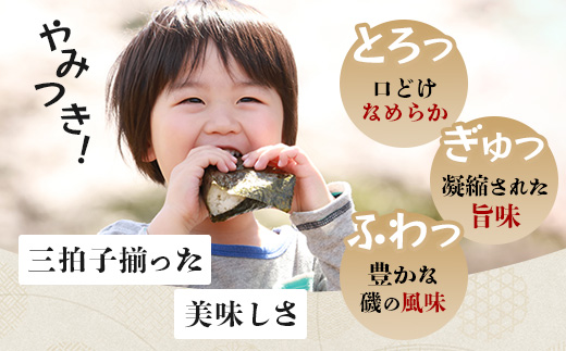 【ギフトにおススメ】佐賀のり 焼海苔 塩海苔 味付け海苔 3種 詰め合わせセット 合計48枚 うれしい個包装で便利 化粧箱入 小分け【若摘み海苔使用】 B-819