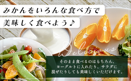 B-345《まぼろしのみかん》鹿島 平倉果樹園のみかん『今村』 約5.5kg サイズ混合 みかん 希少 幻 まぼろし 蜜柑 ミカン オレンジ フルーツ 果物 高糖系 平均糖度12度 佐賀県 鹿島市 人気 おすすめ 送料無料【2026年2月上旬から2月末まで配送】 B-345