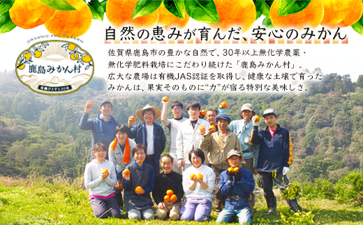 B-23 ＼希少なオーガニック果汁／ 有機温州みかんジュース 200ml×10本（合計2L） 無農薬・無添加 ストレートジュース 健康志向◎ 安心安全の自然派ジュース 九州 佐賀県鹿島市産 人気・美味しい 本物の味　送料無料