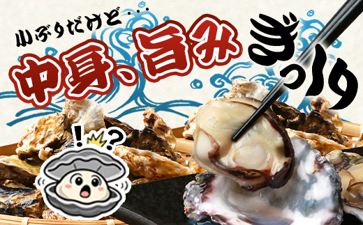 æææµ·ç£ 逿®ç¡è £3kgïœæ®»ä»ãçç¡è £ïœå ç±èª¿ççšïœæ°é®® äœè³çç£ ã«ããã¬ã³ãžã§ç°¡å調çããæ£æ å€é£ ãã€ãŸã¿ ããã äœè³ç é¹¿å³¶åž äººæ° å¬å£éå® B-567