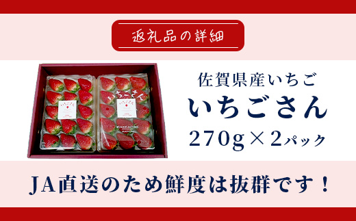 【先行予約】佐賀県鹿島市産　いちごさん　ゆりかーごギフト　B-728