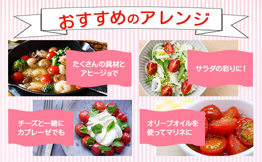 ãå
è¡äºçŽãã2025幎12æäžæ¬ããåºè·ããã«ãã¡ãã¡ãŒã å®çããããã çŽ1kg ãRicotomato ãšããã«ãªããããã B-324