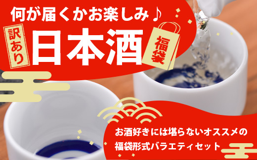 ＼訳あり×お楽しみ福袋！／ 熟成日本酒バラエティセット｜純米大吟醸・純米吟醸など数種類からお届け 清酒 飲み比べセット 佐賀県鹿島市 緊急応援 D-181