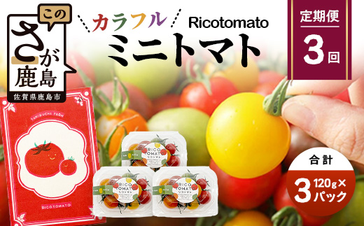 【3回定期便】【先行予約】 カラフルミニトマト 【少量パック】 120gx3p　たにぐちファーム カラフルミニトマト 360g とりこになるトマト 野菜 とまと トマト リコピン 佐賀産 佐賀県 鹿島市　D-241