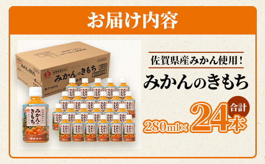  サンレイ『みかんのきもち』ペットボトル280ml×24本 B-192 