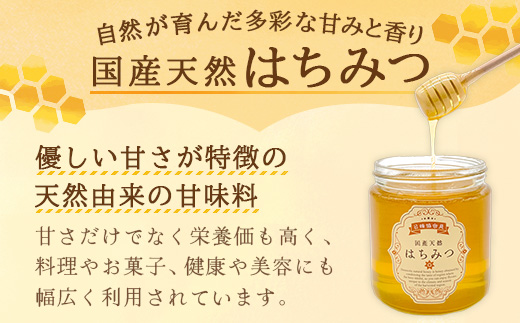 鹿島市産 天然の恵み 100% はちみつ 600g 化粧箱入 B-806 ハチミツ 蜂蜜 ハニー 天然はちみつ 天然蜂蜜 国産