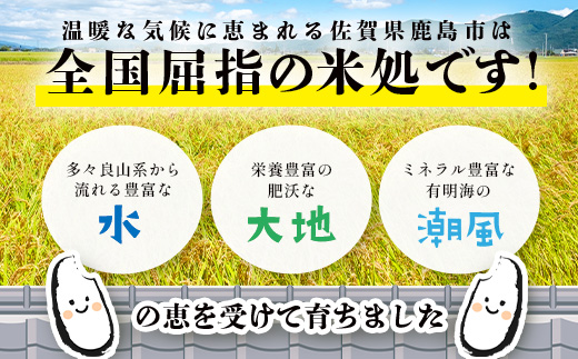 あなたのふるさとKashiMartが贈る「お米」の入った福袋A B-888 新年 年末 お正月 年始 佐賀 鹿島 九州 米 こめ コメ 精米 海苔 みかん レモン