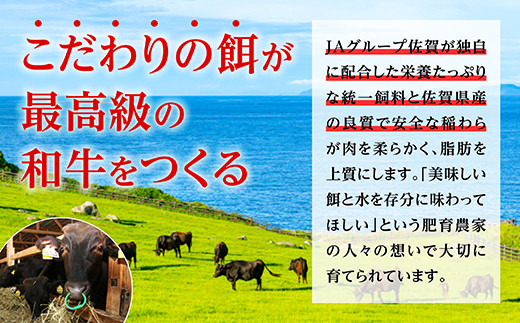 佐賀牛ローストビーフ500g 牛肉 佐賀牛 ローストビーフ ブランド牛 D-287