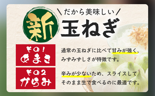 縲蝉コ育エ蜿嶺サ倥鷹ケソ蟲カ蟶ら肇 譁ー邇峨ュ縺 蜷郁ィ10kg B-842 縺溘∪縺ュ縺 邇芽続 繧オ繝ゥ繝 譁咏炊縲2026蟷エ4譛井クュ譌ャ繧医j鬆谺。逋コ騾√