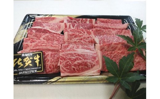 E-102・佐賀牛食べ比べセット焼肉用（肩ロース630g・牛もも630g）